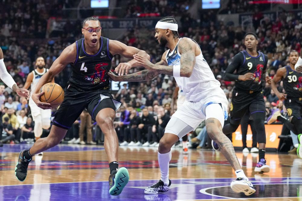 供了新的视 供了新的视