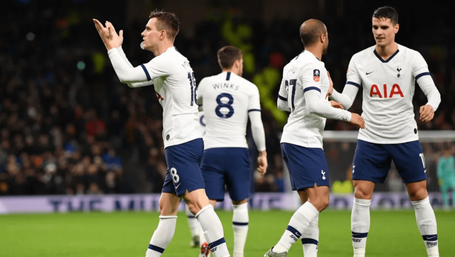 仅让森林球 仅让森林球